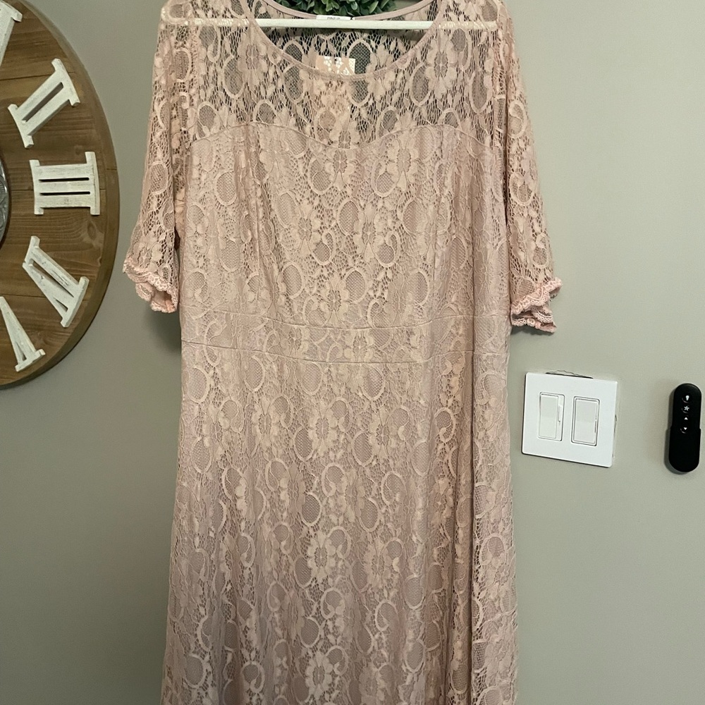 Pinup fashion plus sized blush lace dress